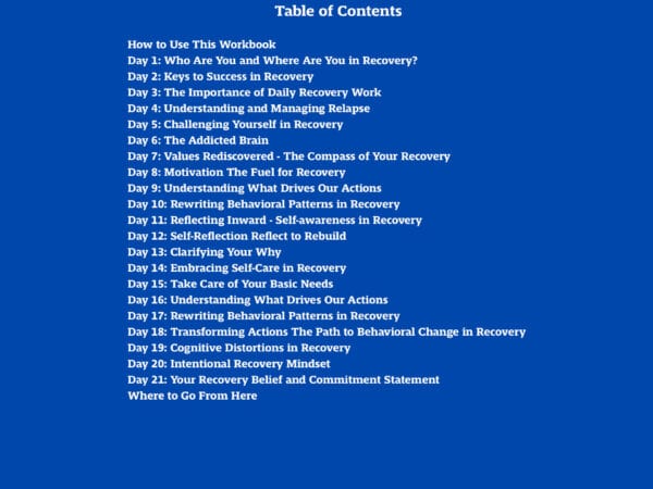 Life Beyond the Bottle Refresh and Renew 21-day Recovery Maintenance Plan table of contents. White text on a blue background.