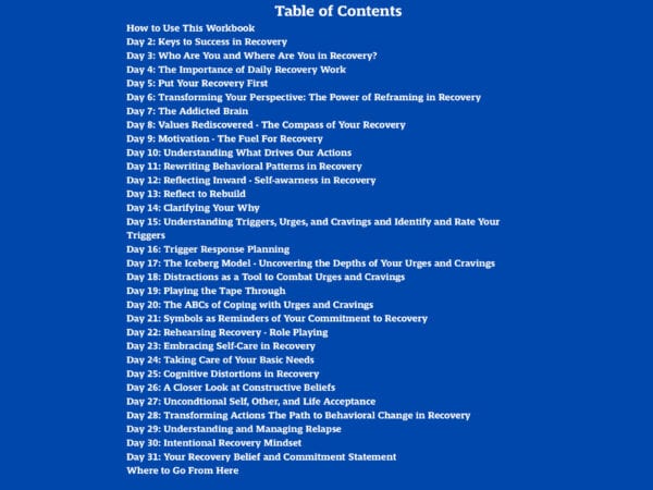Life Beyond the Bottle A New Chapter in Your Recovery: 31-day Relapse Bounce Back Plan table of contents. White text on a blue background.