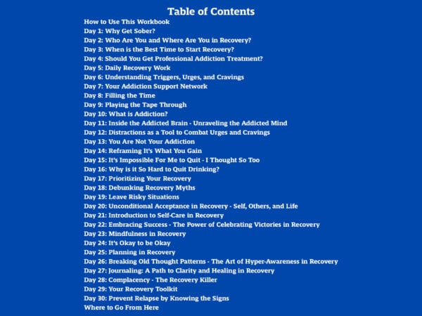 Life Beyond the Bottle Sobriety Kickstart workbook table of contents. White text on a blue background.