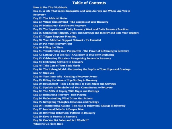 Life Beyond the Bottle Solidifying Sobriety workbook table of contents. White text on a blue background.