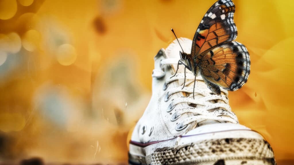 A close up of a butterfly sitting on top of a dirty, white high-top shoe. Symbolizes transformation, rediscovery, and re-invention in addiction recovery.